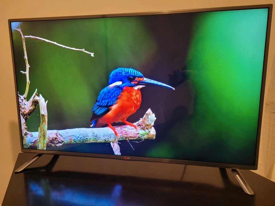 Hulu TV Happiness: Tech Home TV’s Monthly Subscriptions Tailored for You!